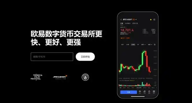 OKPay钱包APP平台展示图